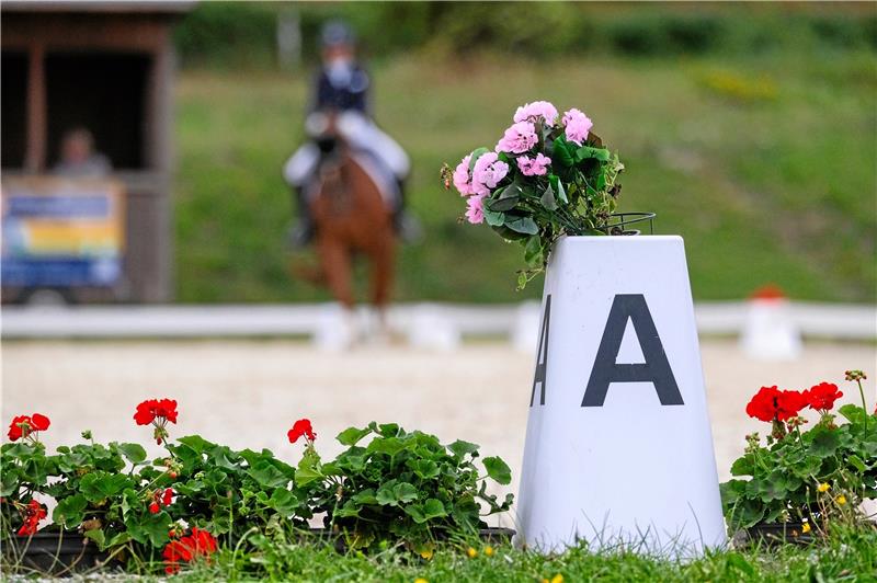 Großes Reitturnier beim RV Westerode am Wochenende Die Pferdeleistungsschau des RV Westerode im Bad Harzburger Sportpark wird in diesem Jahr zu einem reinen Dressurturnier. Foto: Drechsler