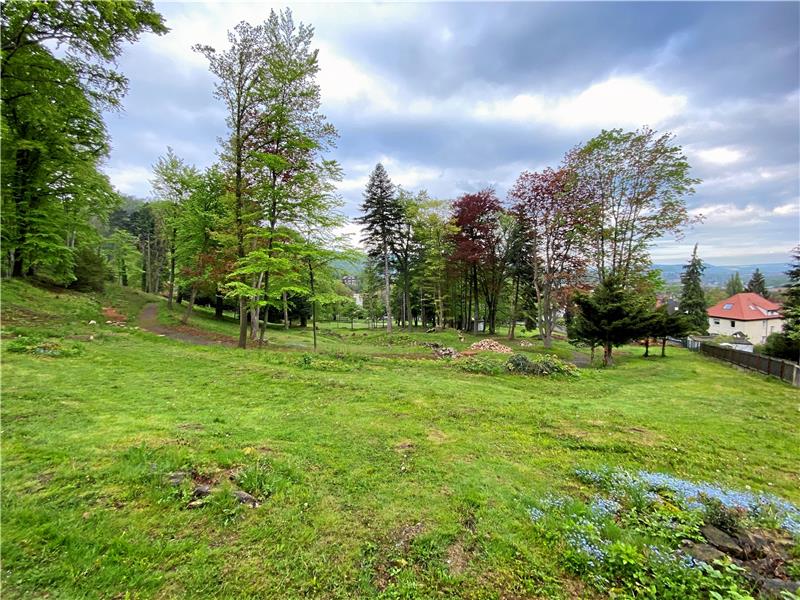Der Lindenpark soll auch ein Park bleiben Die Pläne eines Seniorenheims im Bad Harzburger Lindenpark haben sich für die Convivo-Gruppe zerschlagen. Sie stießen auf Widerstand bei Anwohnern und Politik.