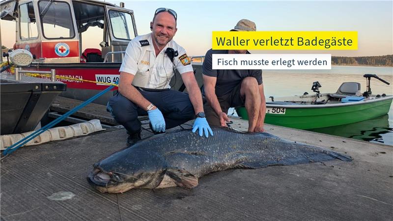 Fünf Badegäste gebissen: Polizist erschießt Zwei-Meter-Fisch Die Polizei hat ein Foto des erlegten Riesenwels veröffentlicht.