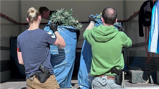 Die Polizei holt die Cannabis-Pflanzen säckeweise aus dem Haus.