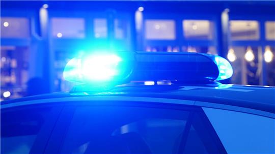 Hängebauchschwein „Peppa“ stoppt Verkehr in Bremen Die Polizei in Bremen muss ein störrisches Hängebauchschwein von der Straße bewegen. (Symbolbild)