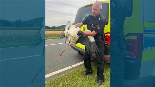 Die Polizei kümmert sich am Freitag bei Langelsheim einen verletzten Stroch.