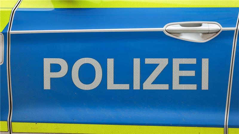 Die Polizei sucht am Geiseltalsee in Sachsen-Anhalt nach einer Großkatze. (Symbolbild)
