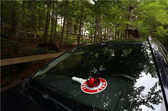 Die Polizei suchte im Wald nach den Insassen. Symbolbild: picture alliance/dpa | Karl-Josef Hildenbrand