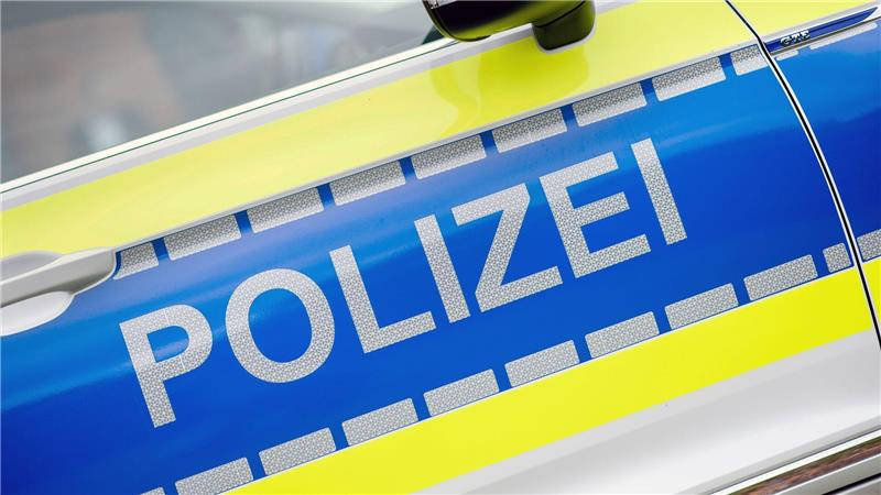 Die Polizei übergab die beiden Kinder an ihre Erziehungsberechtigten. (Symbolbild)