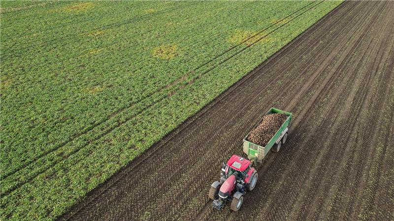 Die Preise für viele Agrarprodukte sind derzeit unter Druck. (Archivbild) 