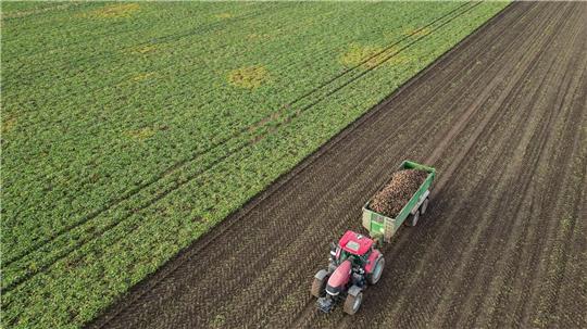 Die Preise für viele Agrarprodukte sind derzeit unter Druck. (Archivbild) 