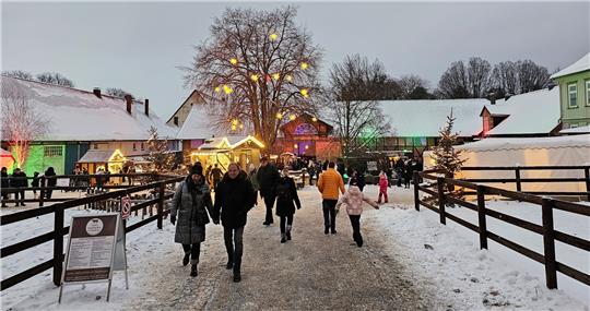 Die Premiere: "Advent im Gestüt" mit Markttreiben auf dem Hof und viel Kunsthandwerklichem in den einstigen Stallungen. Foto: Potthast
