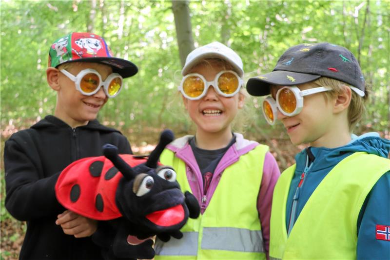 Junge Liebenburger Forscher im Wald unterwegs Die „Puck-Brille“ macht es möglich: Einmal im Angesicht des Marienkäfers aus Plüsch so sehen können, wie es auch Insekten tun.