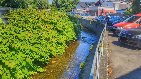 Die Radau soll zwischen Brücken- und Goslarer Straße ein breiteres Flussbett erhalten.