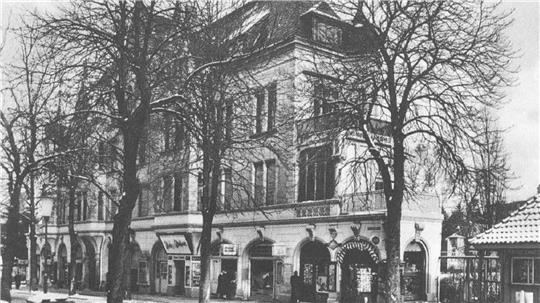 Die Radauburg, abgebildet auf einer zeitgenössischen Postkarte. Die Kastanien vor dem Gebäude finden sich noch heute.