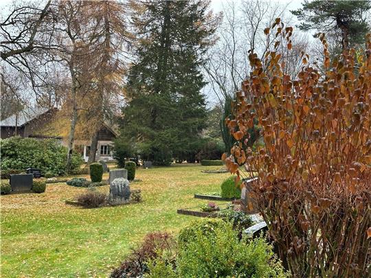 Die Rasenflächen auf dem Friedhof in Braunlage werden größer. Aus diesem Grund überlegt der Rat, die Grabsteine künftig stehen zu lassen.  Foto: Eggers