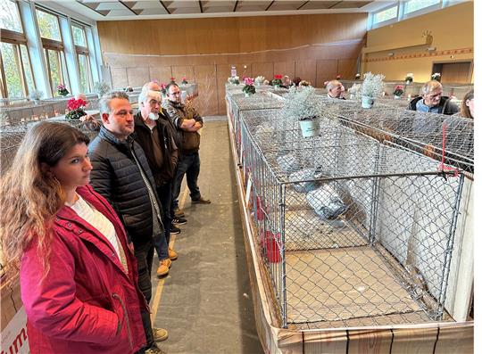 Die Rassegeflügelschau des Geflügelzuchtvereins Bad Harzburg lockt 28 Aussteller aus ganz Niedersachsen ins Freizeitzentrum nach Harlingerode. Foto: Eggers