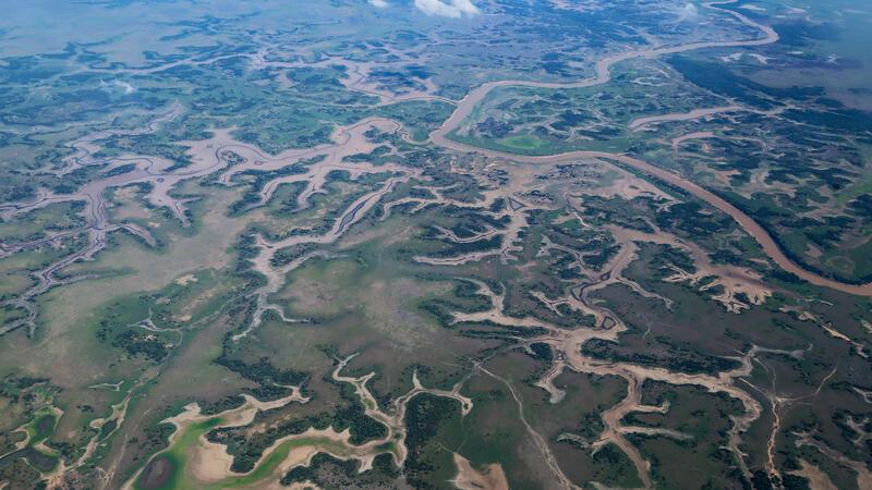 Die Regenwälder im Amazonas-Gebiet sind bedroht. Soll Goslar einem Klimaschutz-Bündnis mit den dortigen indigenen Völkern beitreten oder lieber alle Energie auf Wiederaufforstungsprojekte im eigenen Stadtwald konzentrieren?