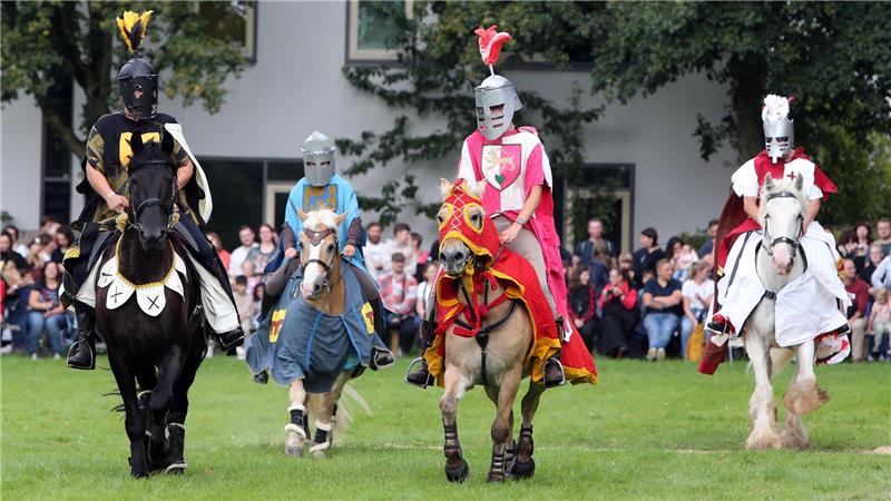 Die Reitervorführung der Sehusa-Ritter ist auf der großen Freifläche vor dem Städtischen Museum zu sehen.