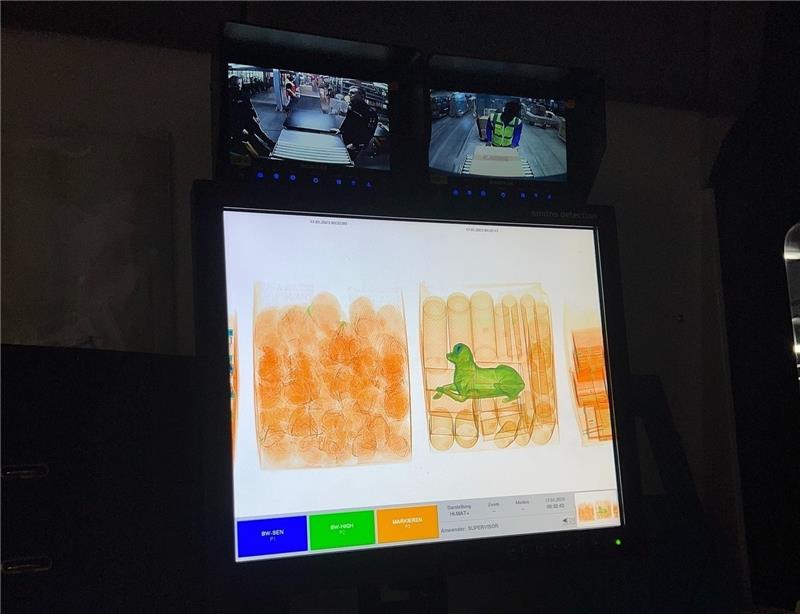 Kuriose Paketfunde: Mäusehirn, Pickelhaube und Sexpuppe Die Röntgenaufnahme eines Spielzeughundes, der in einem Paket liegt. Foto: Hauptzollamt Braunschweig