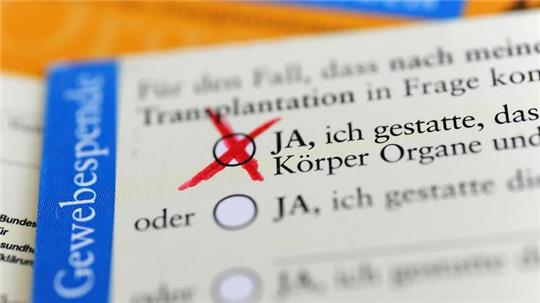 Die Rückseite eines ausgefüllten Organspendeausweises. Das Zustimmungsfeld ist angekreuzt.