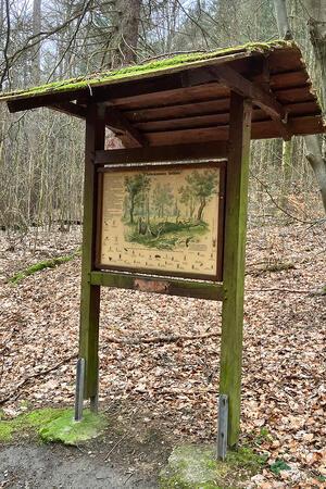 Neustart: Beim Waldlehrpfad setzen sich die Förster den Hut auf Die Schautafeln auf dem Gelände sind sicherlich reif für eine Überarbeitung.