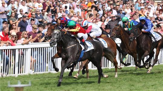 Die Schimmelstute Grey Sparkle gewinnt Anfang September 2023 mit Andrasch Starke im Sattel bei der „Großen Woche“ in Baden-Baden.