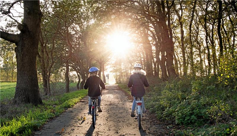 Fahrrad- und Verkehrssicherheitstag in Schladen Die Schladener können beim Fahrradtag an der Werla-Schule lernen, was ein verkehrssicheres Fahrrad ausmacht. Damit sind sie dann gut gerüstet für ausgiebige Fahrradtouren im Frühling. Symbolfoto: Pixabay