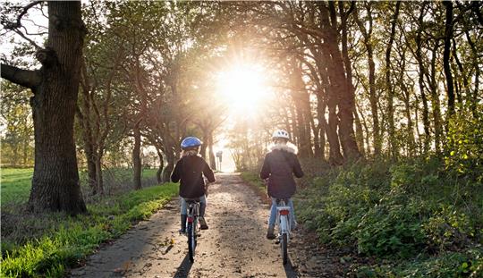 Die Schladener können beim Fahrradtag an der Werla-Schule lernen, was ein verkehrssicheres Fahrrad ausmacht. Damit sind sie dann gut gerüstet für ausgiebige Fahrradtouren im Frühling. Symbolfoto: Pixabay