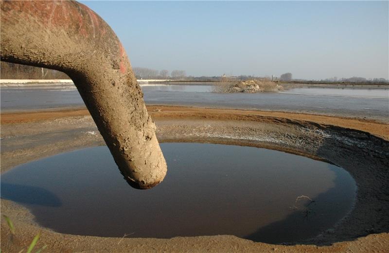 Die unangenehmen Nachwehen der Zuckerkampagne Die Schlammablagerungen in den Abwasserteichen des Nordzucker-Werkes kommen immer mehr zum Vorschein. Und das ist gut so. Denn es ist das Wasser, das den teils unerträglichen Geruch verbreitet. Foto: Neddermeier
