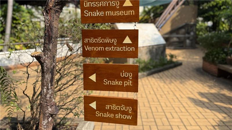 Die Schlangenfarm zur Gewinnung von Antiserum ist eine der ältesten ihrer Art weltweit.