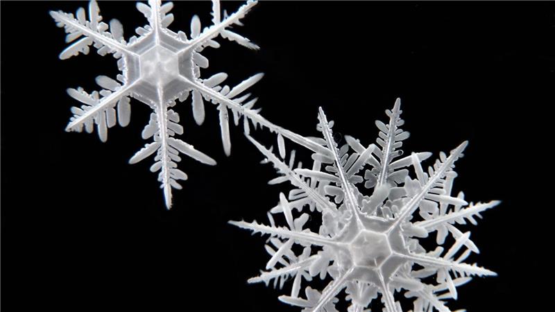 Die Schneeflocken haben sehr unterschiedliche Strukturen.