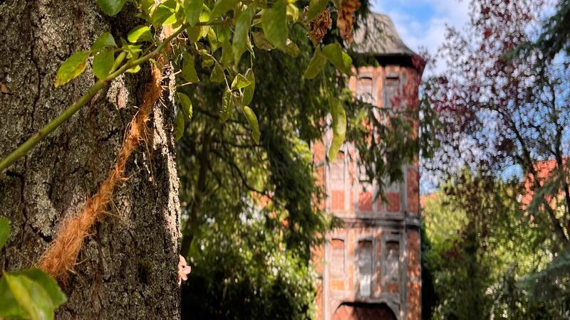 Gesucht: 24 neue Märchen für Goslar Die Schönen Plätze der Stadt sollen die Autoren und Fotokünstler inspirieren.