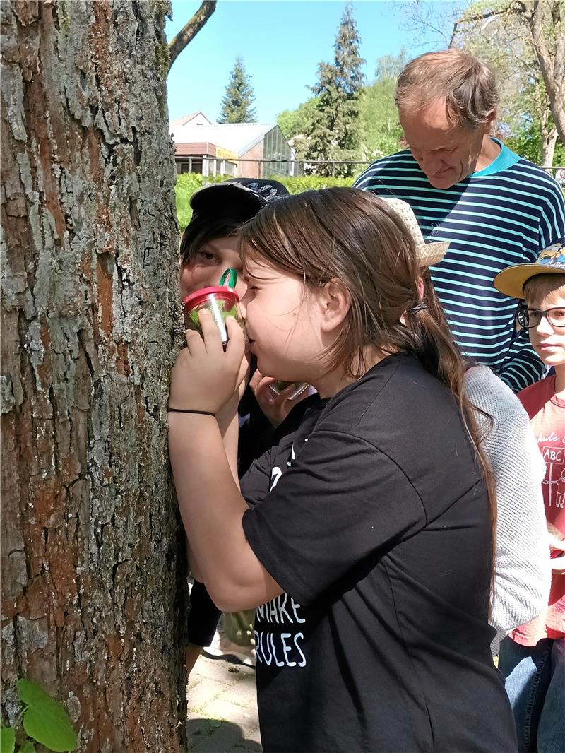 Aus dem TV bekannt: Kinder mit Extrembotaniker unterwegs Die Schüler beobachten eine Raupe. Foto: Jenzora