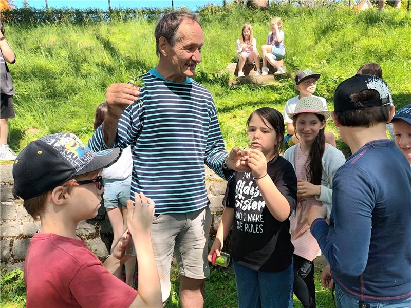 Aus dem TV bekannt: Kinder mit Extrembotaniker unterwegs Die Schüler machen gut mit bei der spannenden Exkursion. Foto: Jenzora