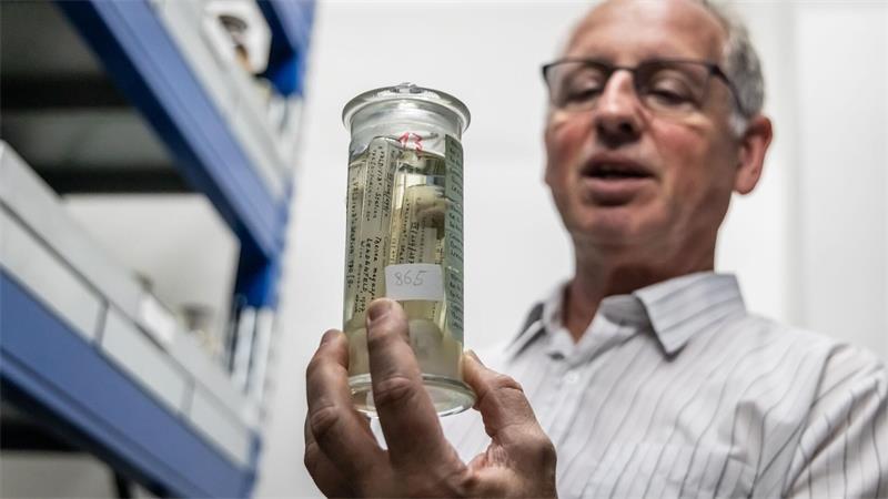 Die ersten und letzten ihrer Art - Kronjuwelen im Museum Die Schwämme stammen von einer der ersten deutschen Expeditionen.