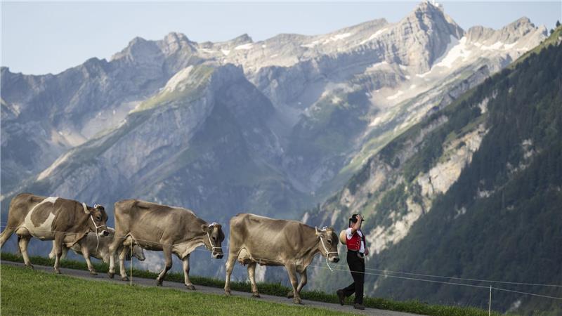 Die Schweiz pflegt ihr Heidiland-Image. (Archivbild) 