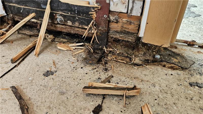 Wie die abgesoffene Kita Burgstraße schnell gerettet werden soll Die Schwellen der Wände sind mitunter massiv durch die Feuchtigkeit geschädigt und müssen ausgetauscht werden.