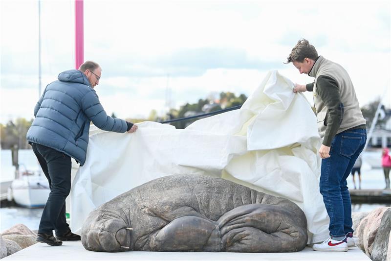 Denkmal für eingeschläfertes Walross Freya in Oslo enthüllt Die Skulptur der Künstlerin Tonoian zum Gedenken an das Walross Freya wird von Walross-Experte Rune Aae (l) und Initiator Erik Holm in der Kongen Marina enthüllt.
