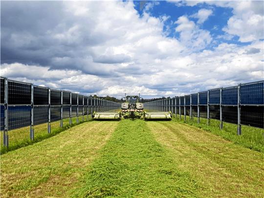 Die Solarmodule werden senkrecht aufgestellt, damit das Feld weiter bestellt werden kann. Fotos: Privat