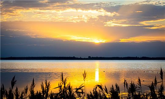 Die Sonne geht über dem Steinhuder Meer in der Region Hannover auf.