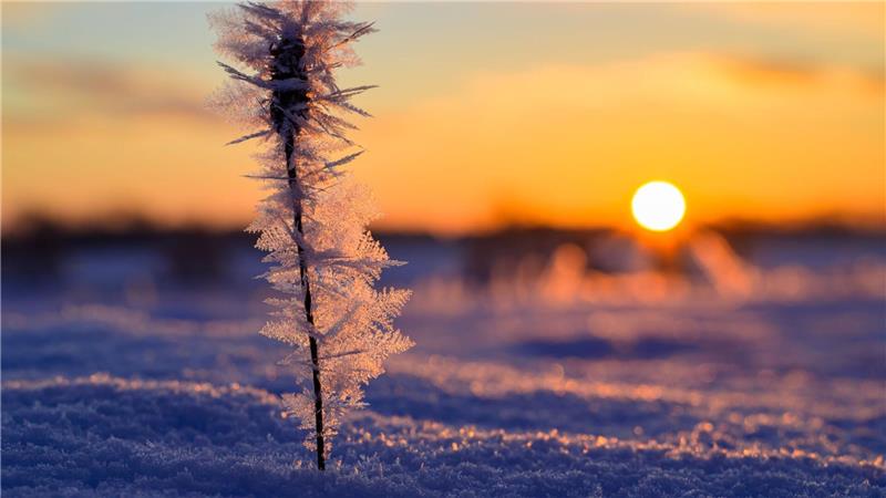 Die Sonne hat deutlich mehr Stunden eingesammelt als im Vergleichszeitraum. (Archivbild)