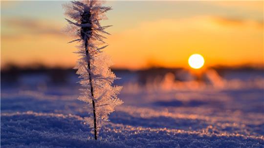 Die Sonne hat deutlich mehr Stunden eingesammelt als im Vergleichszeitraum. (Archivbild)