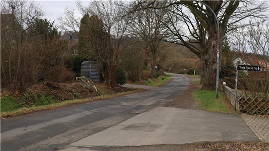 Zusehen ist ein Waldweg mit kahlen Bäumen.