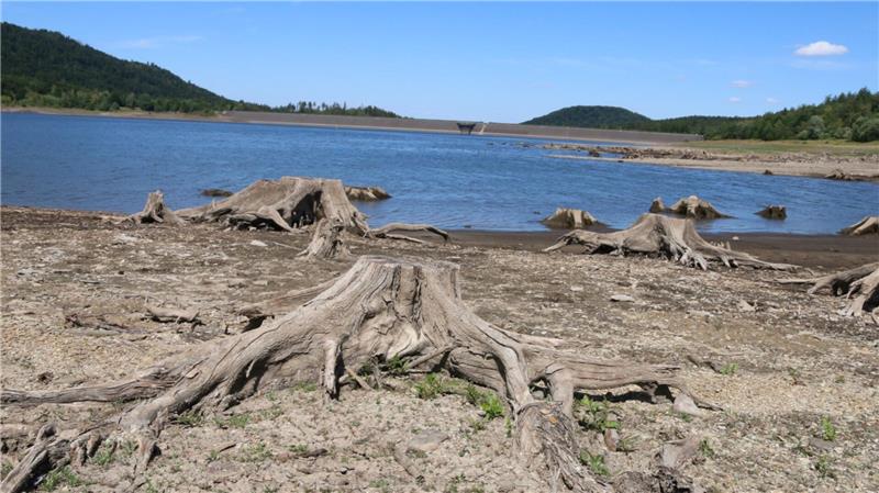 Die Stecke bis zur Staumauer ist selbst für einen geübten Schwimmer weit.