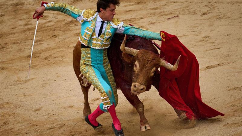 Fünf Verletzte bei umstrittener Stierhatz in Pamplona Die Stiere, die am Morgen während des San-Fermín-Festes im nodspanischen Pamplona durch die Altstadt getrieben werden, sterben am späten Nachmittag in der Stierkampfarena. (Archiv-Bild)