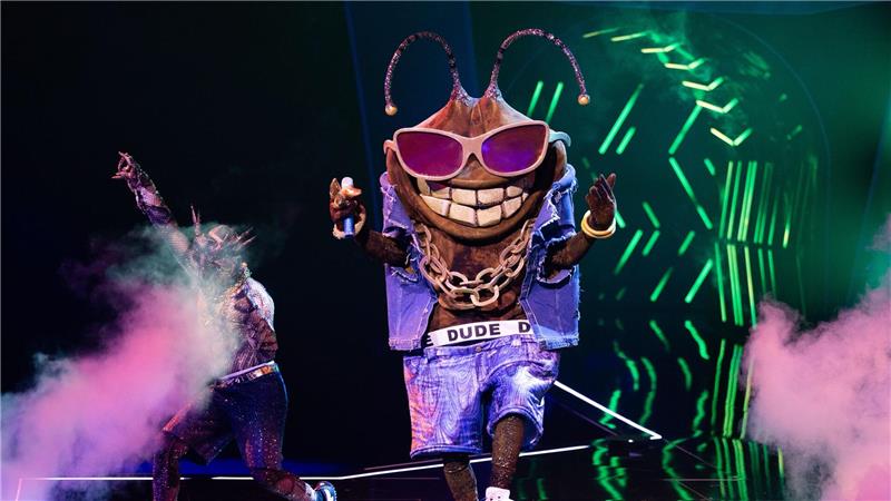 Die Stinkwanze „Dude“ ist bei der ProSieben-Show „The Masked Singer“ raus. (Archivbild)
