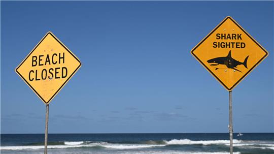 Die Strände in der Region wurden zunächst gesperrt. (Symbolbild)