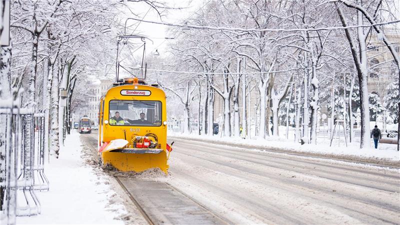 Die Straßen in Wien präsentieren sich weiß.