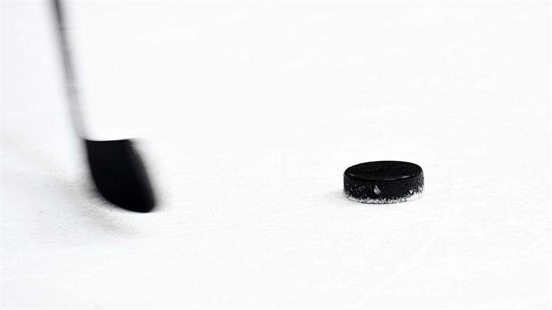 Die Straubing Tigers bekommen einen neuen Co-Trainer. (Symbolbild)