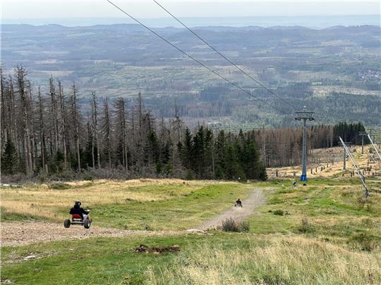 Die Strecke, die am Wurmberg die Carts runterrollen, ist kein offizieller Wanderweg. Foto: Eggers