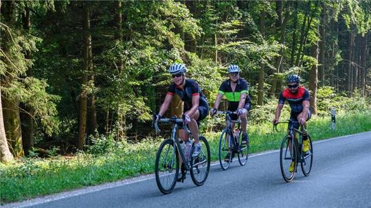 Die Strecke führt vom Forstamt in Lautenthal aus über eine gut asphaltierte Straße größtenteils durch den Wald. Auf dem Sternplatz liegt der Wendepunkt.