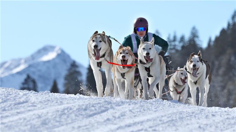 Die Strecke gilt als technisch anspruchsvoll.