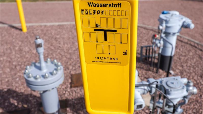 EU-Kommission macht Weg für Industriestrompreis frei Die Subventionsempfänger müssen einen Teil der staatlichen Hilfen in saubere Technologien wie beispielsweise Wasserstoff investieren. (Archivbild)